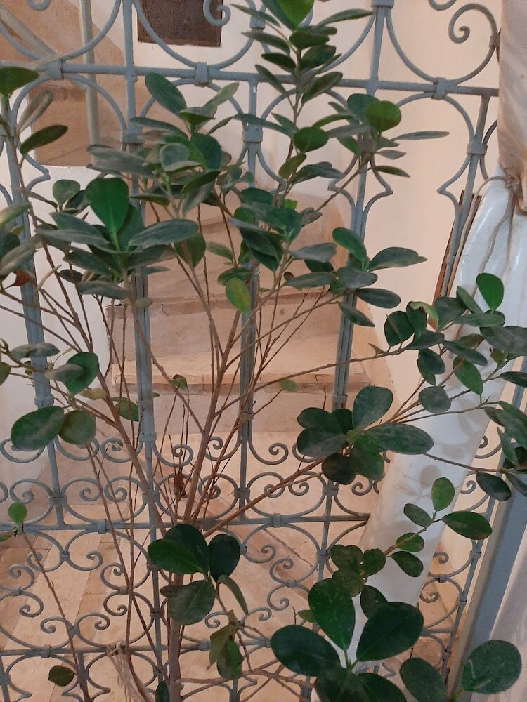 Фото Riad Manaoui