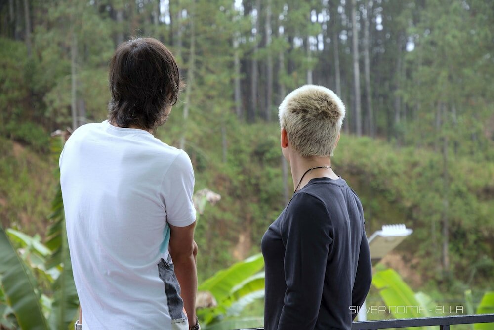 Фото Silver Dome