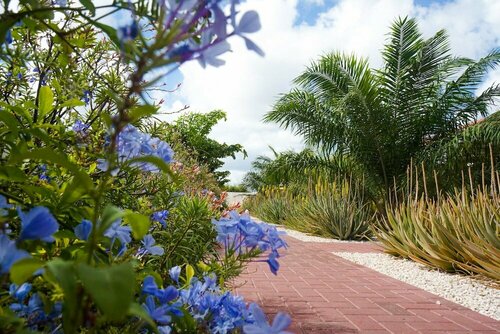 Гостиница ABC Resort Curaçao на Кюрасао