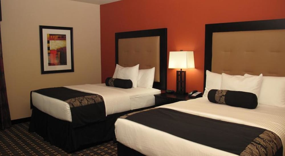 Фото Silver Ferns