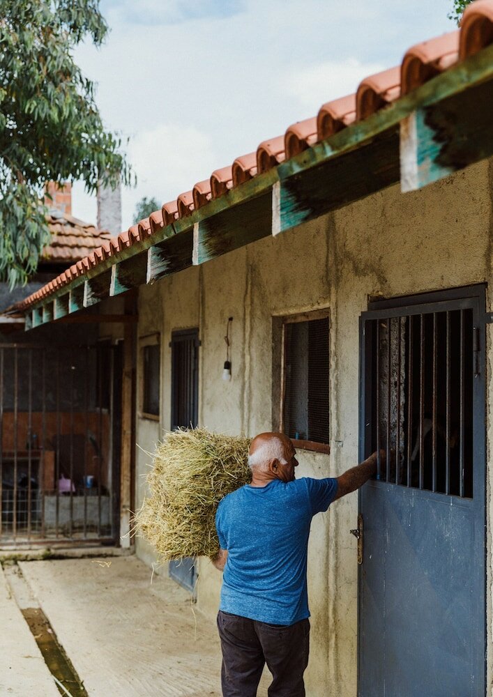 Фото Blerina's Village Project