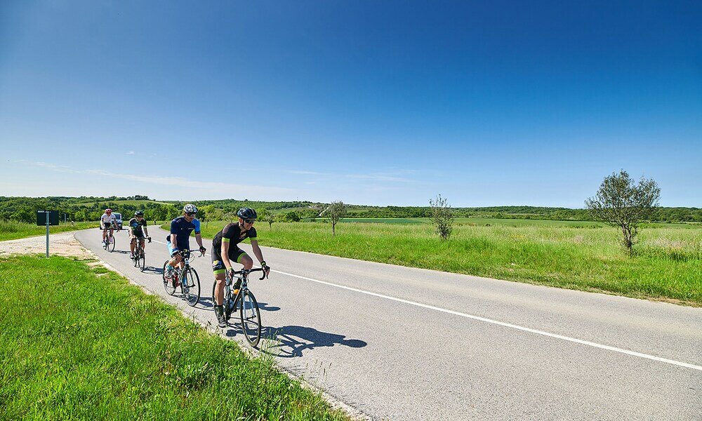 Фото Willa Trojka