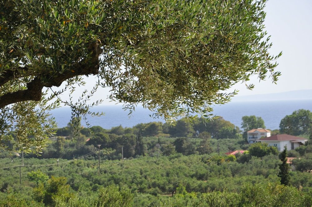 Фото Villa Belvedere Zakynthos