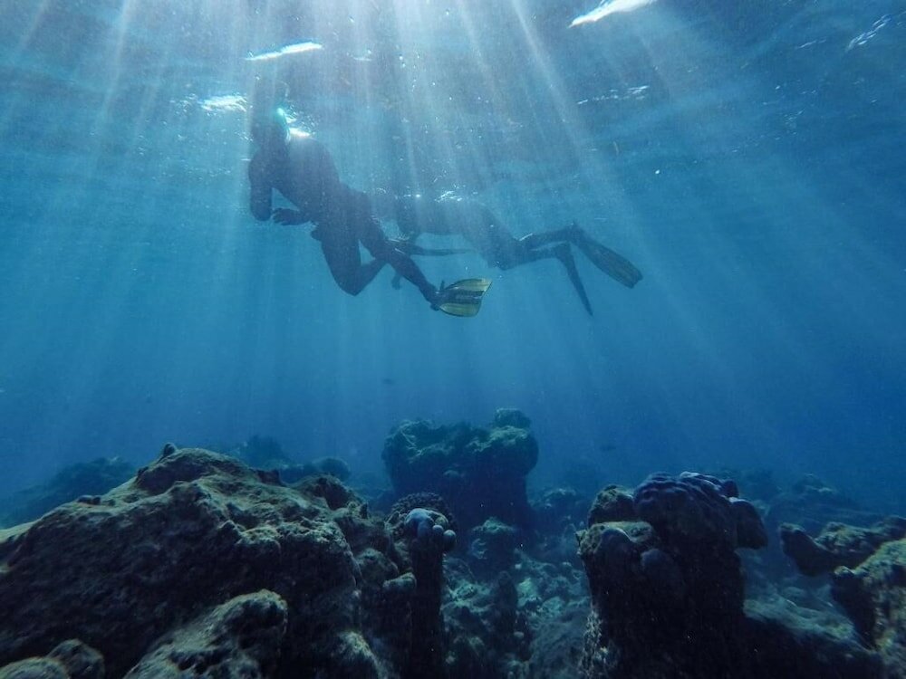 Фото One The Island