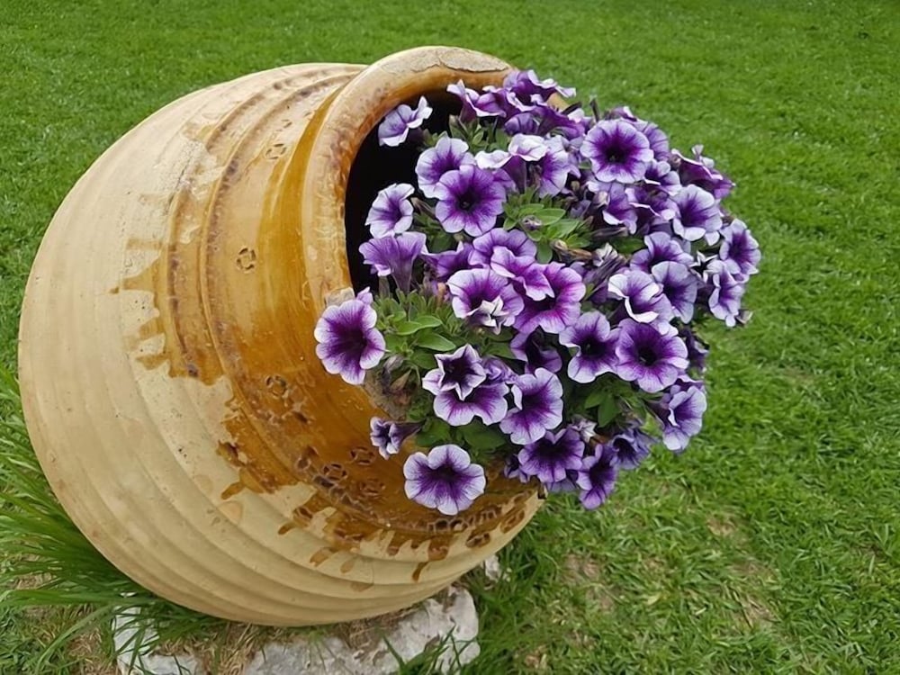 Фото Marathon Studios &Apartments