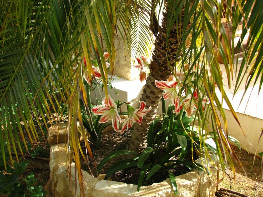 Фото Webooking Konstantinos Villa