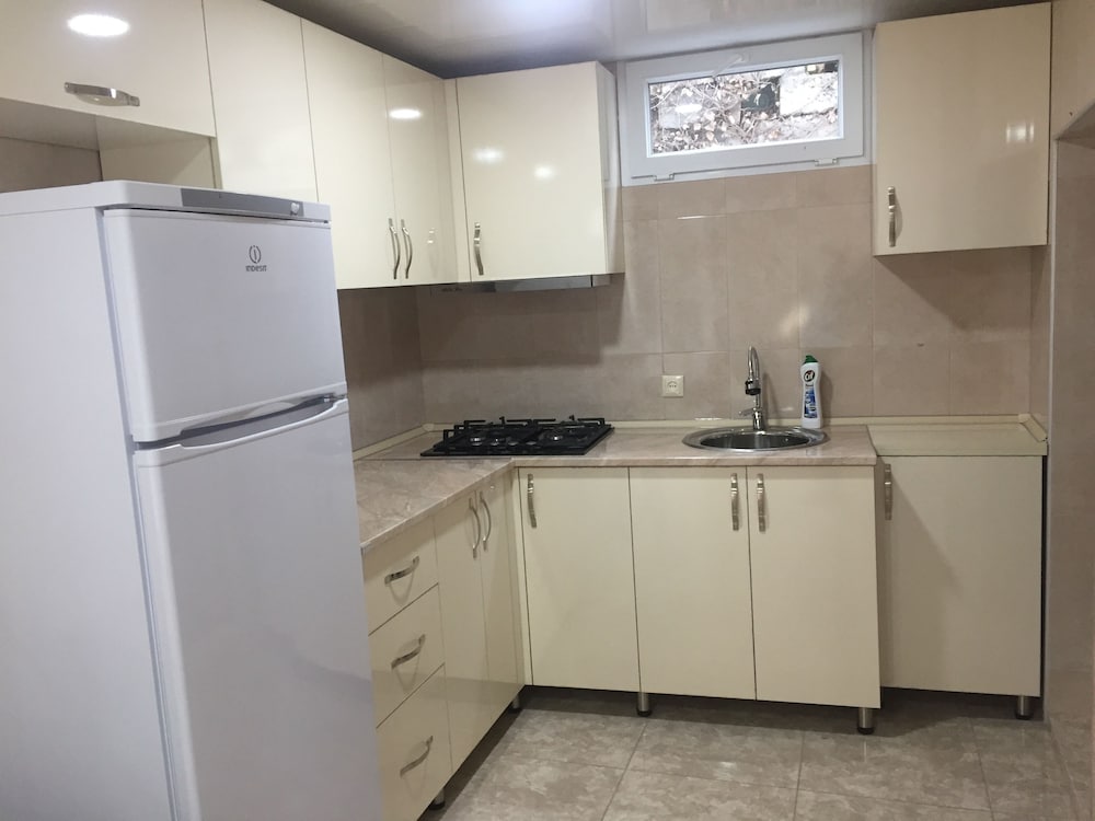 Фото Hotel Botanica