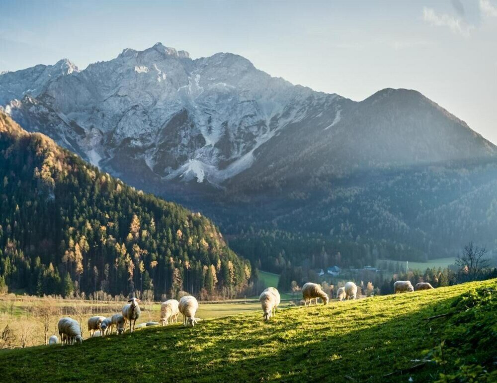 Фото Boutique Hotel Vila Planinka