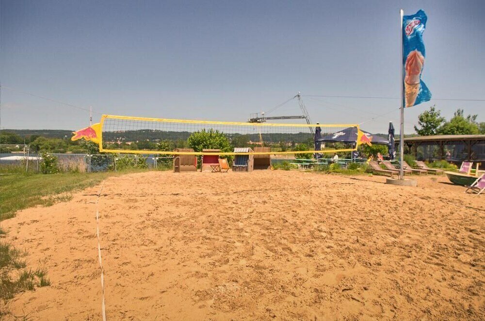 Фото Dresdner-Tag Rosenherz