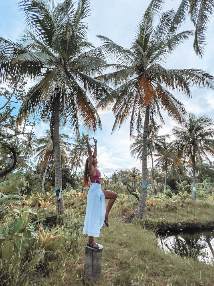 Фото Ataraxis Grand and SPA