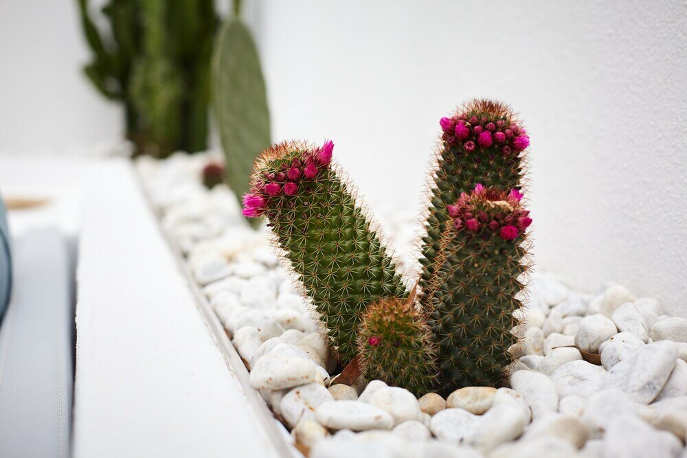 Фото Casetta Zio Franco