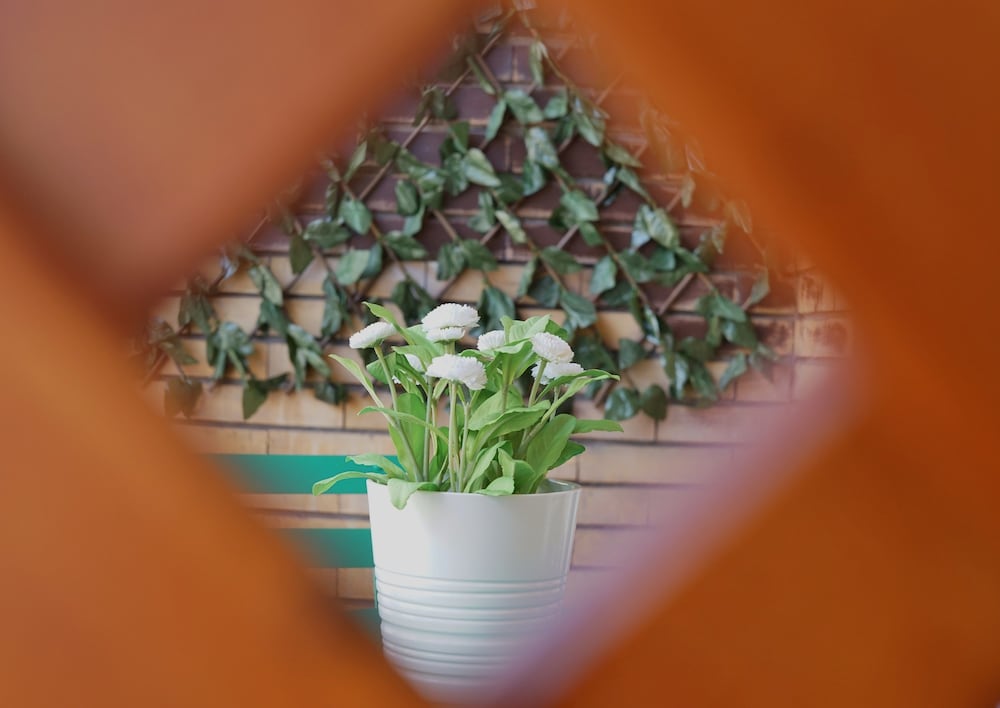 Фото Duca's House