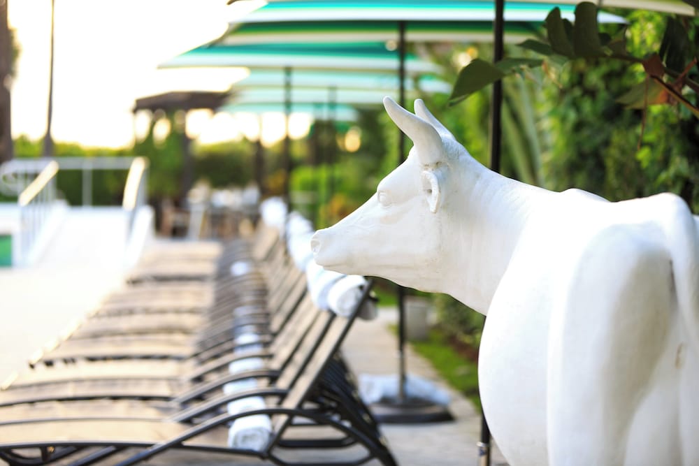 Фото Kimpton Surfcomber Hotel, an Ihg Hotel