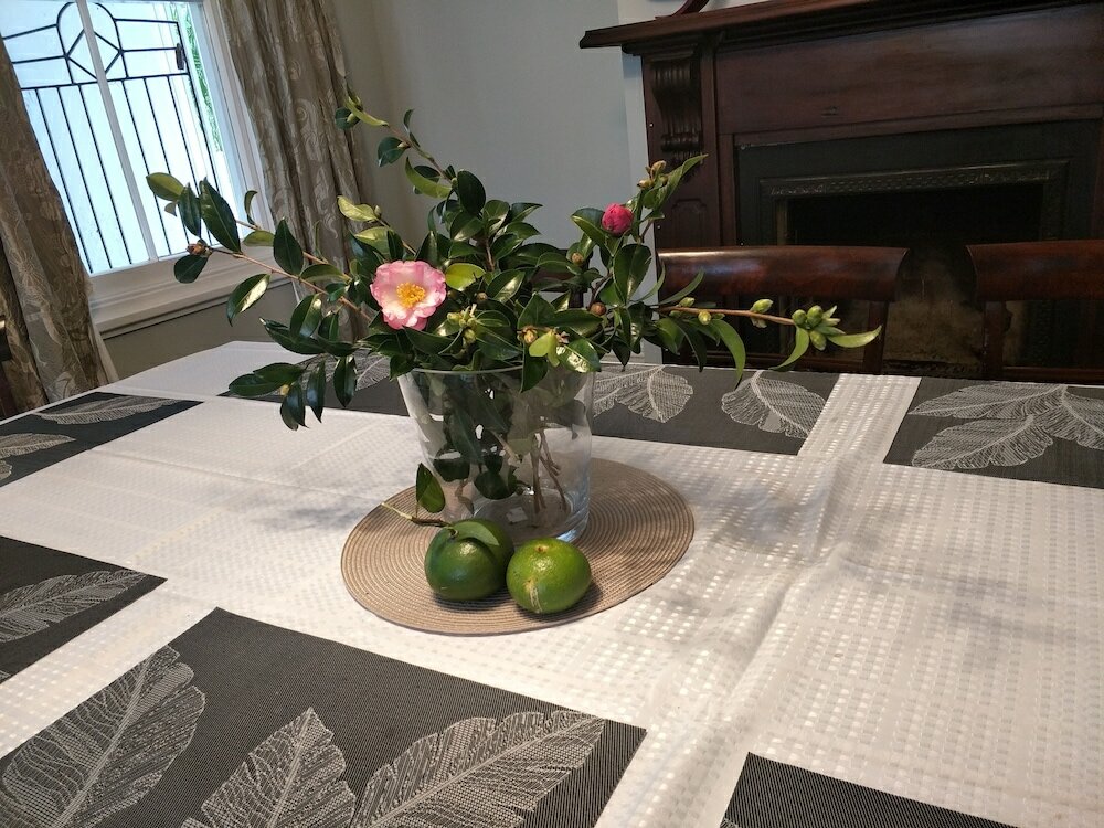 Фото Western Springs Villa