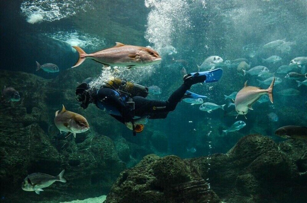 Фото Helen Suites