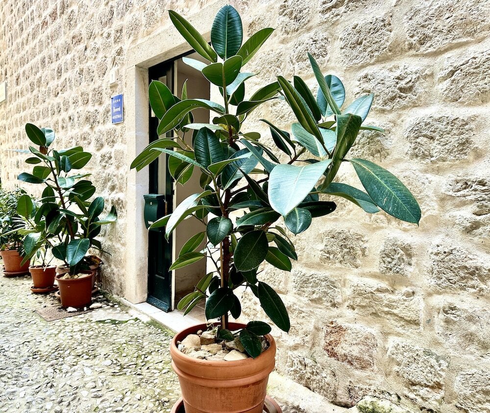 Фото Villa Mirabilis