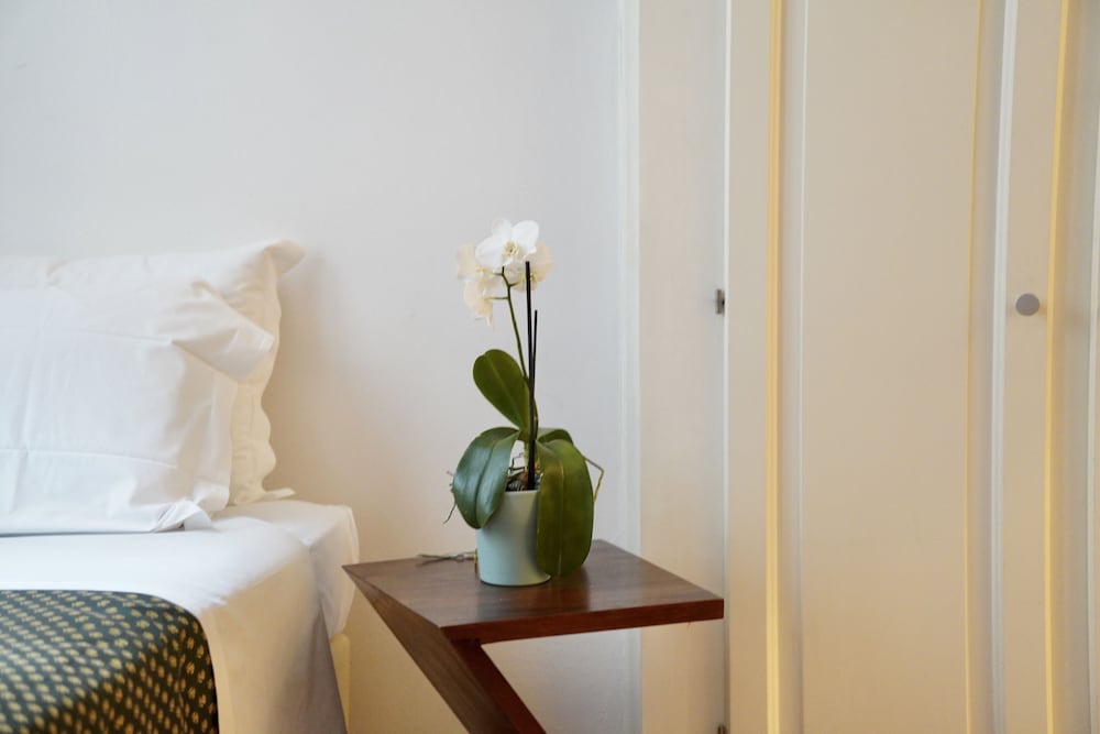 Фото Hotel Aurora