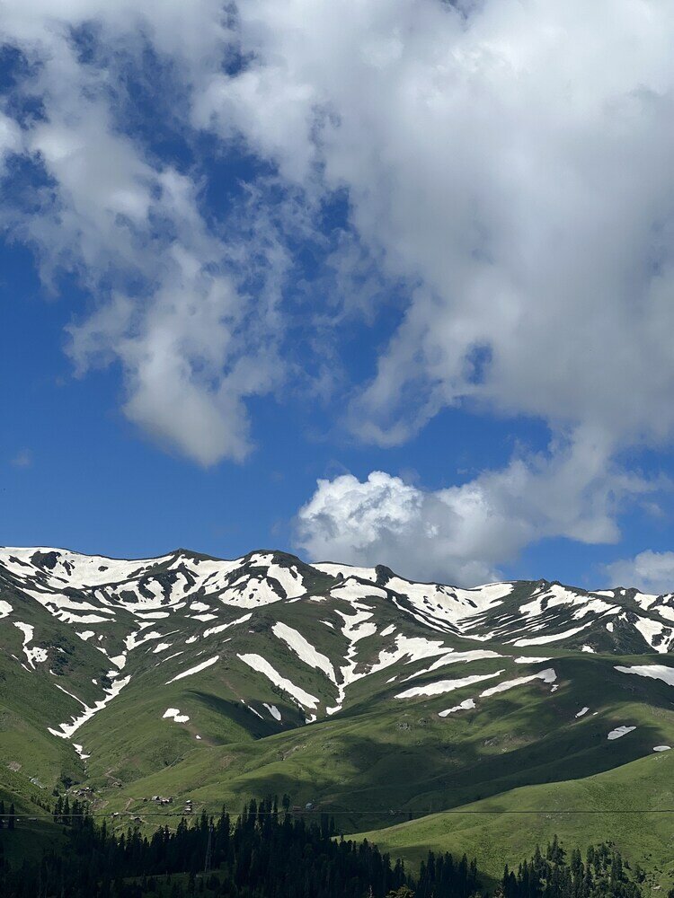 Фото Бахмаро