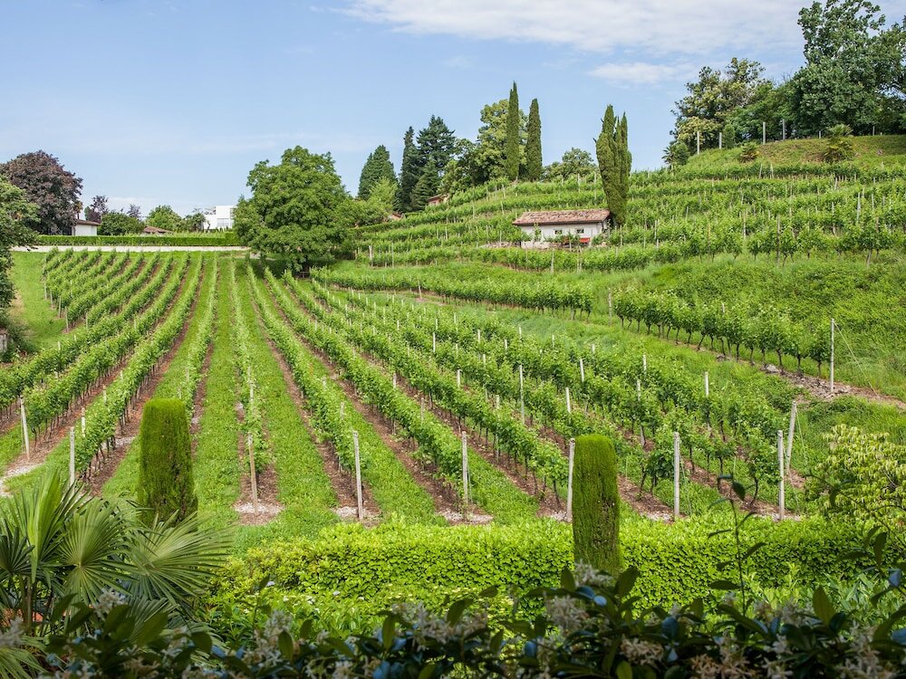 Фото Park Hotel Principe