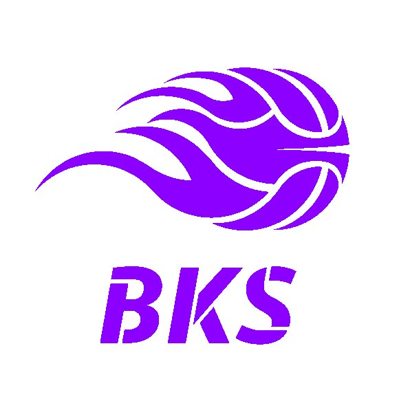 Basket Kids School