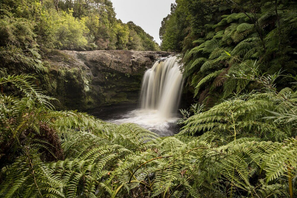 Фото Hotel Parque Tepuhueico