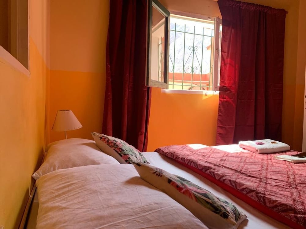 Фото Cactus Hotel