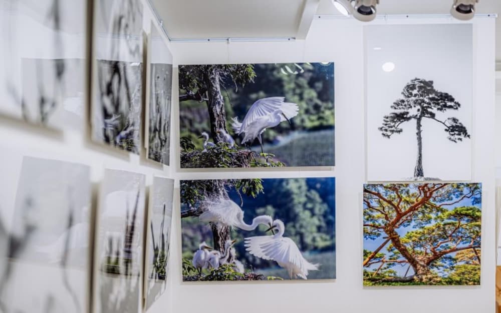 Фото Pohang Cheonnyeonbawi Pension