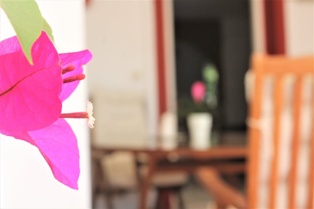 Фото Rootop Villa - Chalet EN Cabo Pino con vistas al mar, jardines y piscina