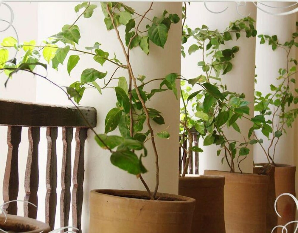 Фото Riad Assaada