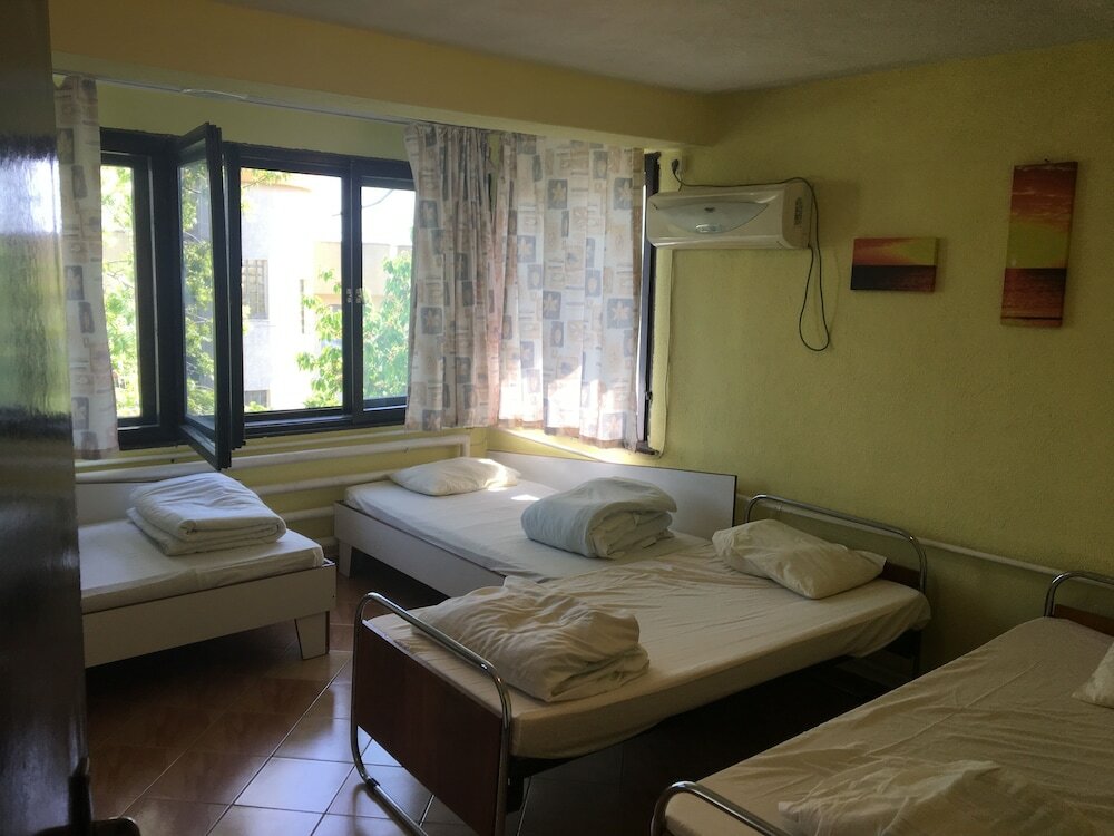 Фото Hair of the Dog Hostel