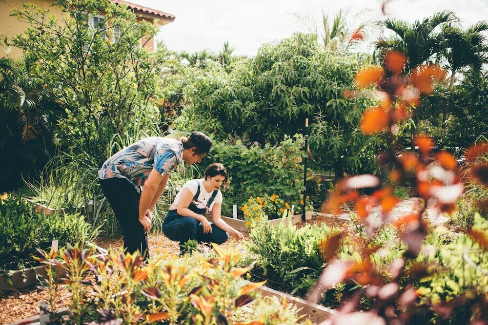 Фото Freehand Miami