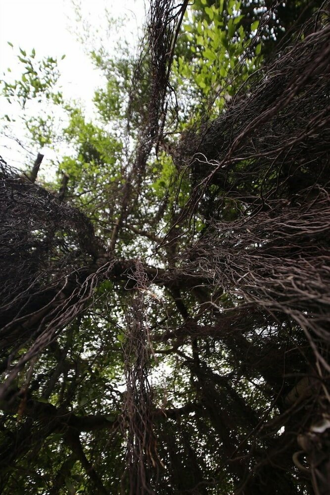 Фото Dream Villa Tadini