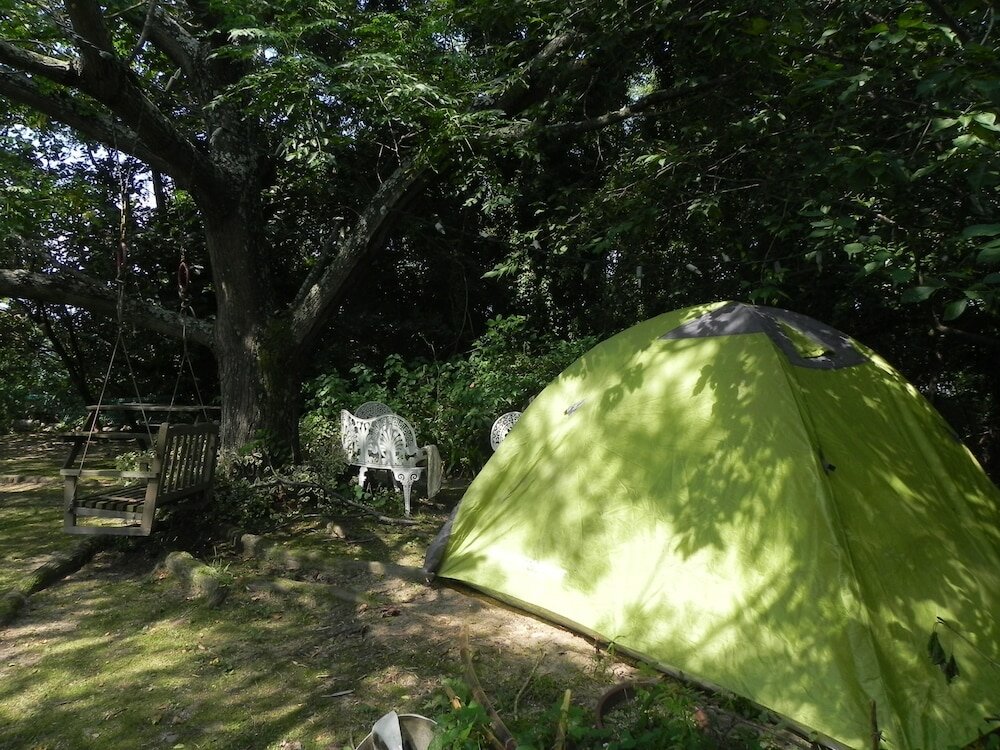 Фото Alpha Eight - Hostel