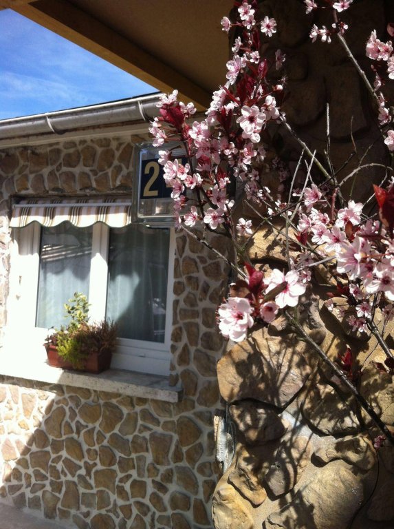 Фото Hotel Aerotel l’étape du silence