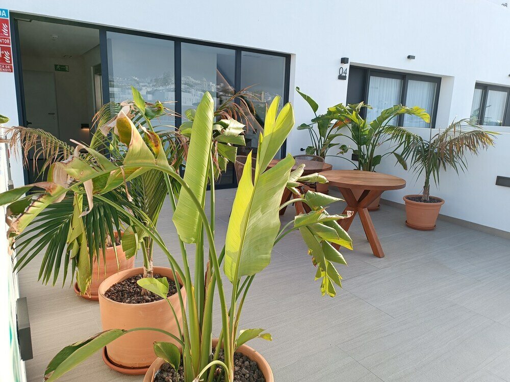 Фото Hotel Apartamentos Hamus