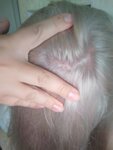 Бархат (ulitsa Pobedy, 5А) ، صالون تجميل