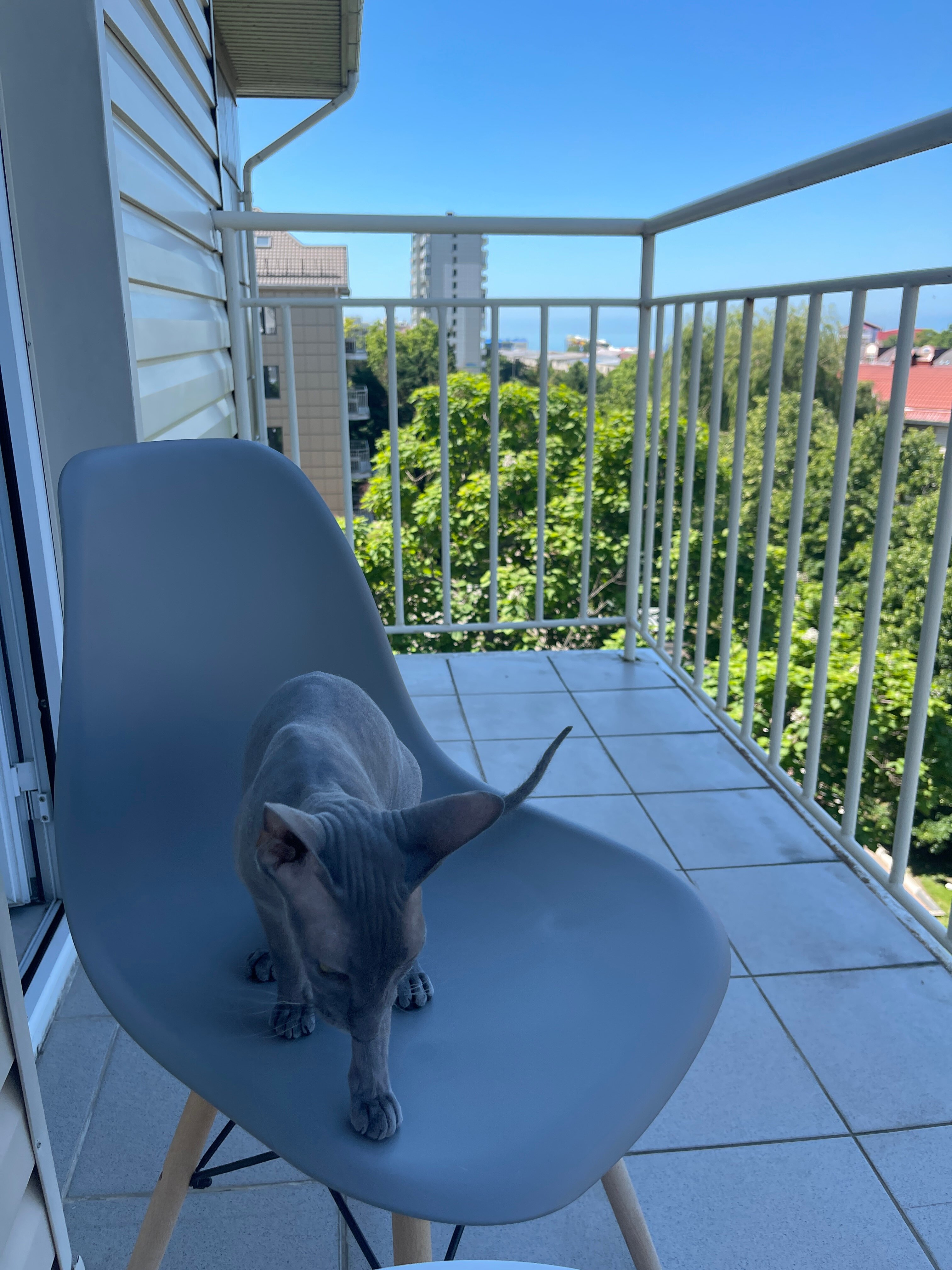 Фото Ола Резорт