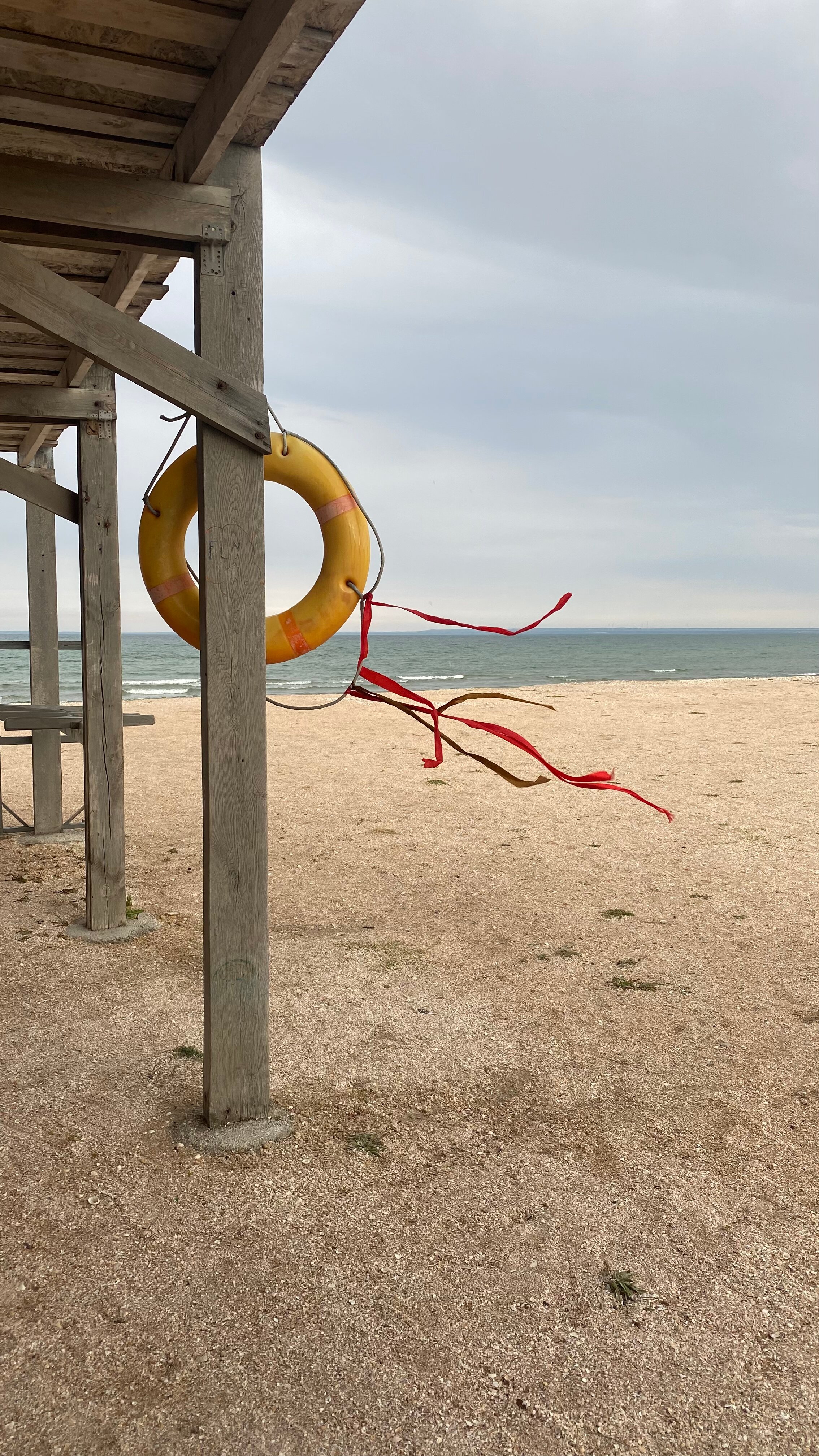 Фото Терра Теана