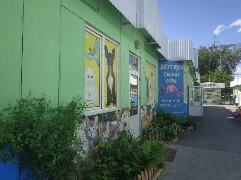 Tienda de animales Магазин товаров для животных, , foto