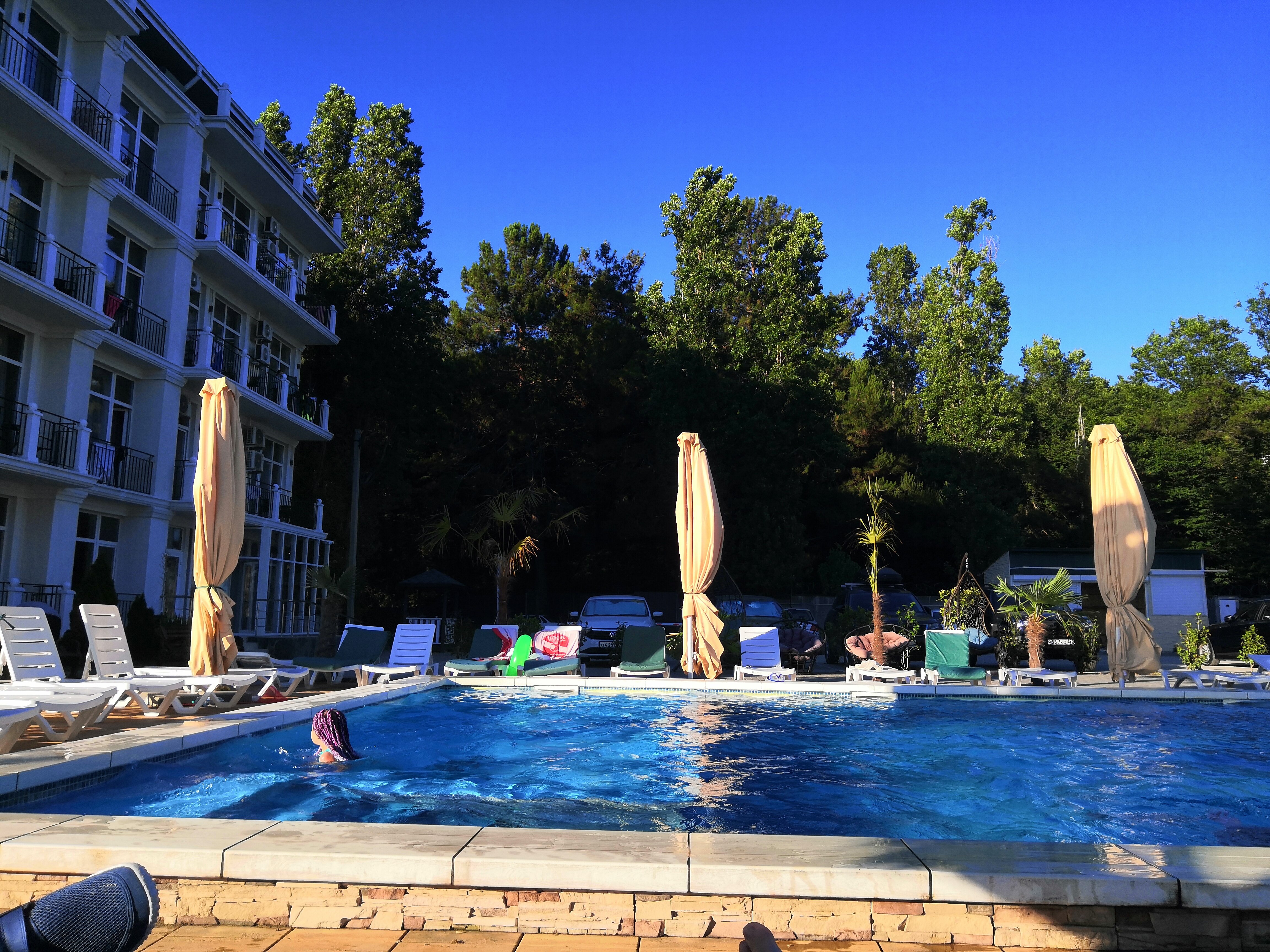 Фото Мироген