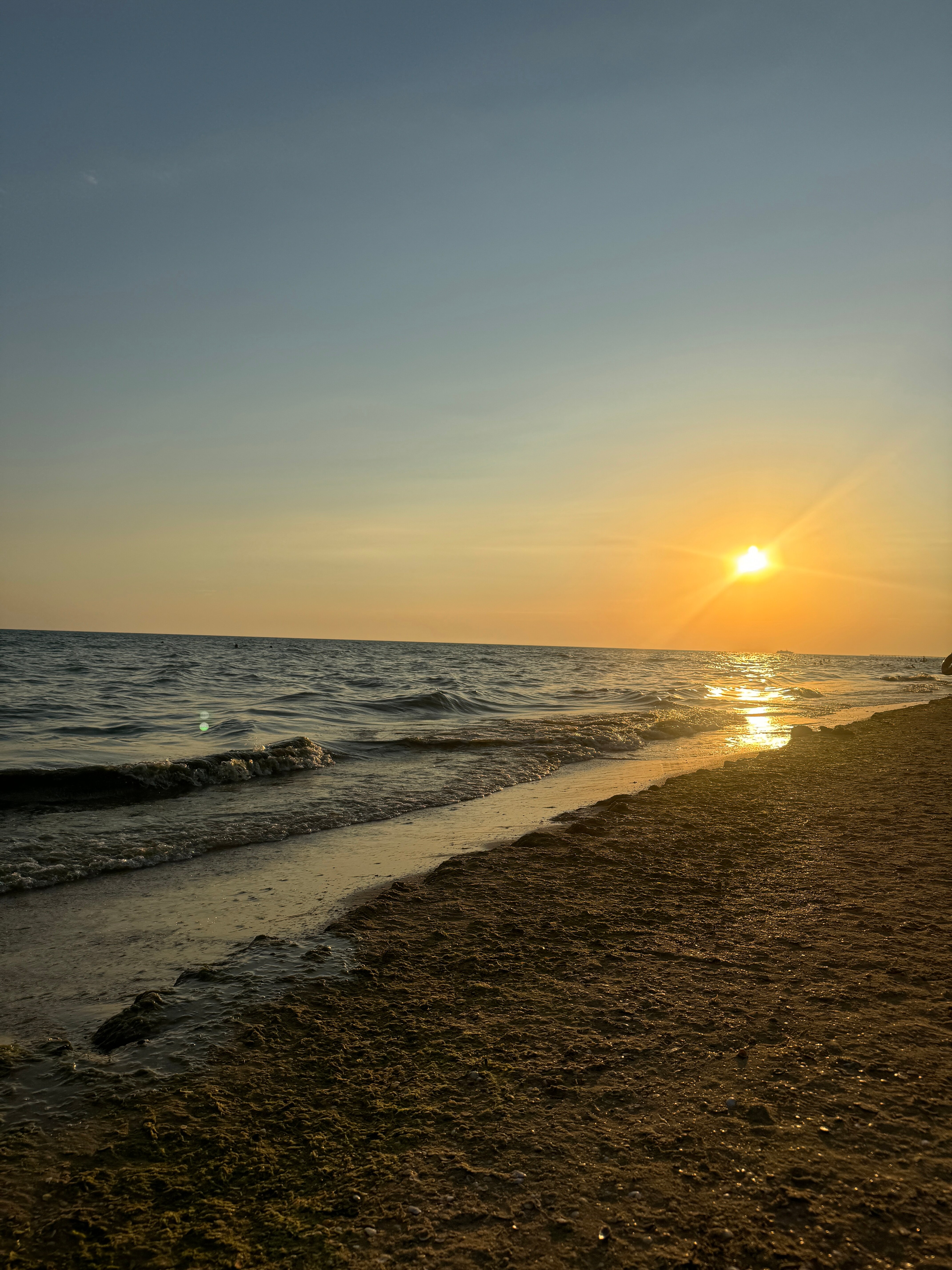 Фото Южный парус