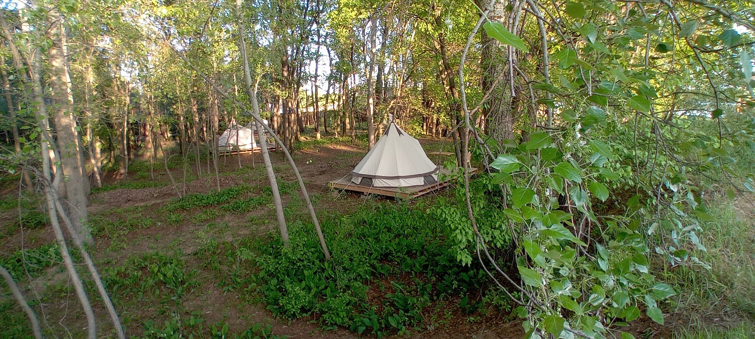 Фото Натура