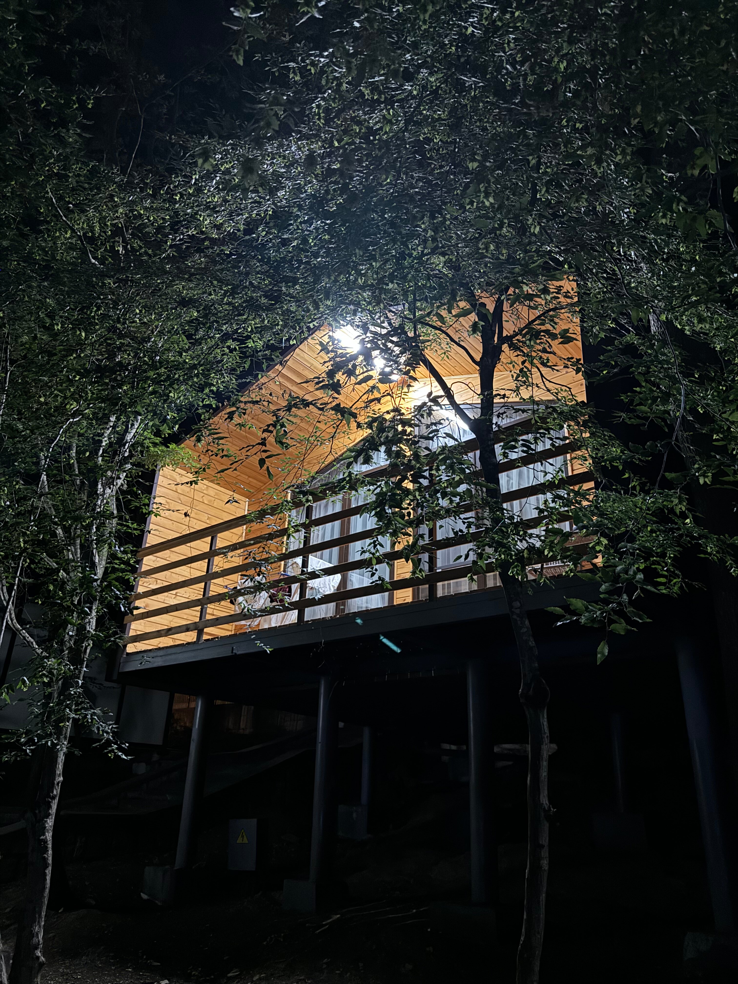 Фото Лесная сказка