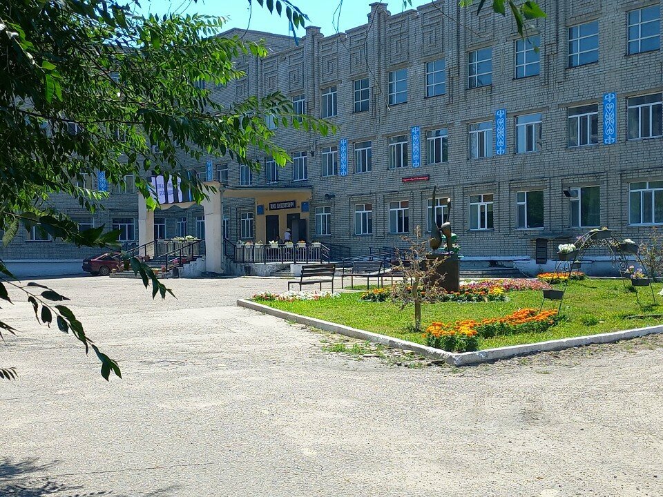 Гимназия no 37 просп гамидова 10б фото