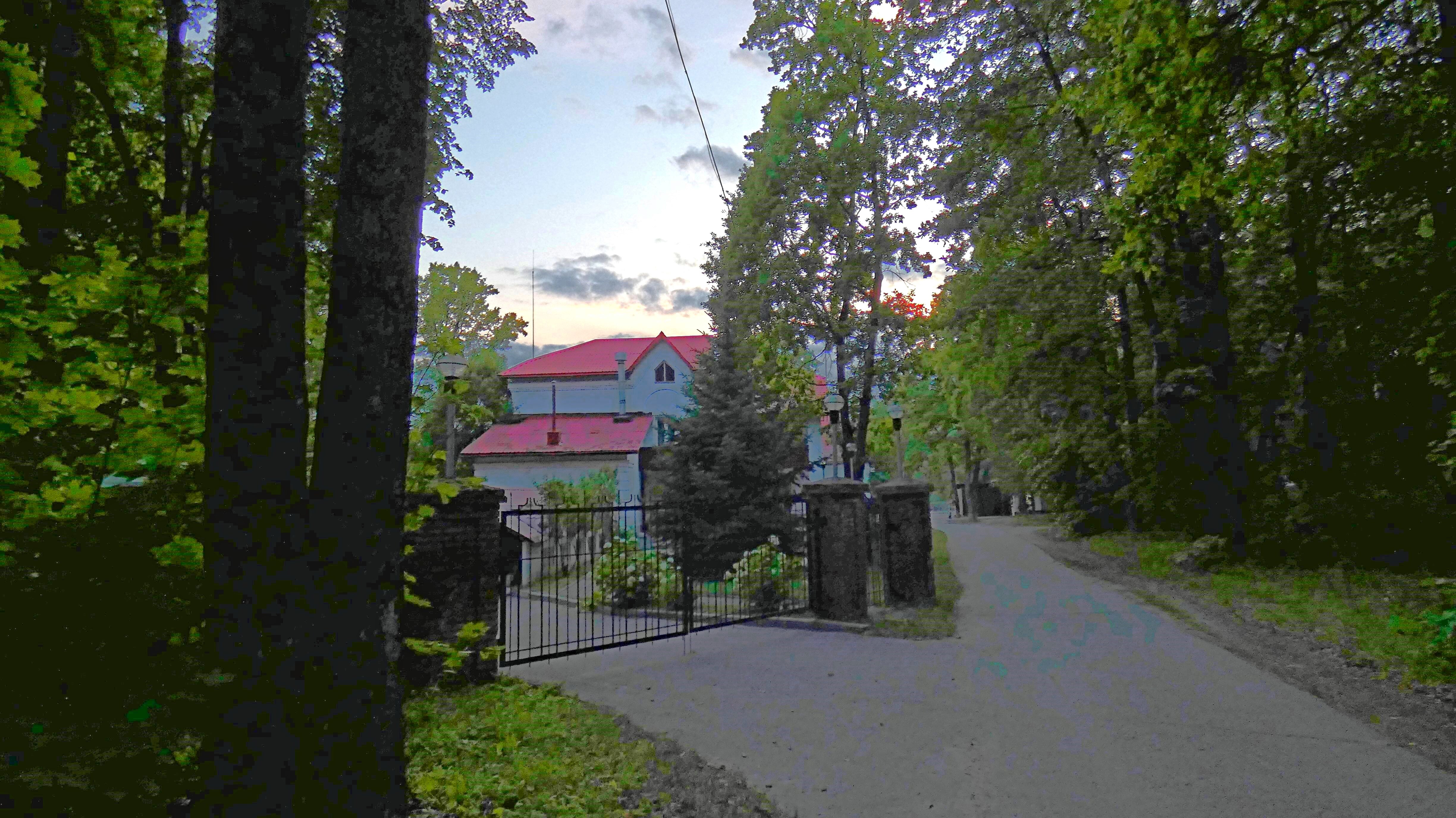 Фото Лесная