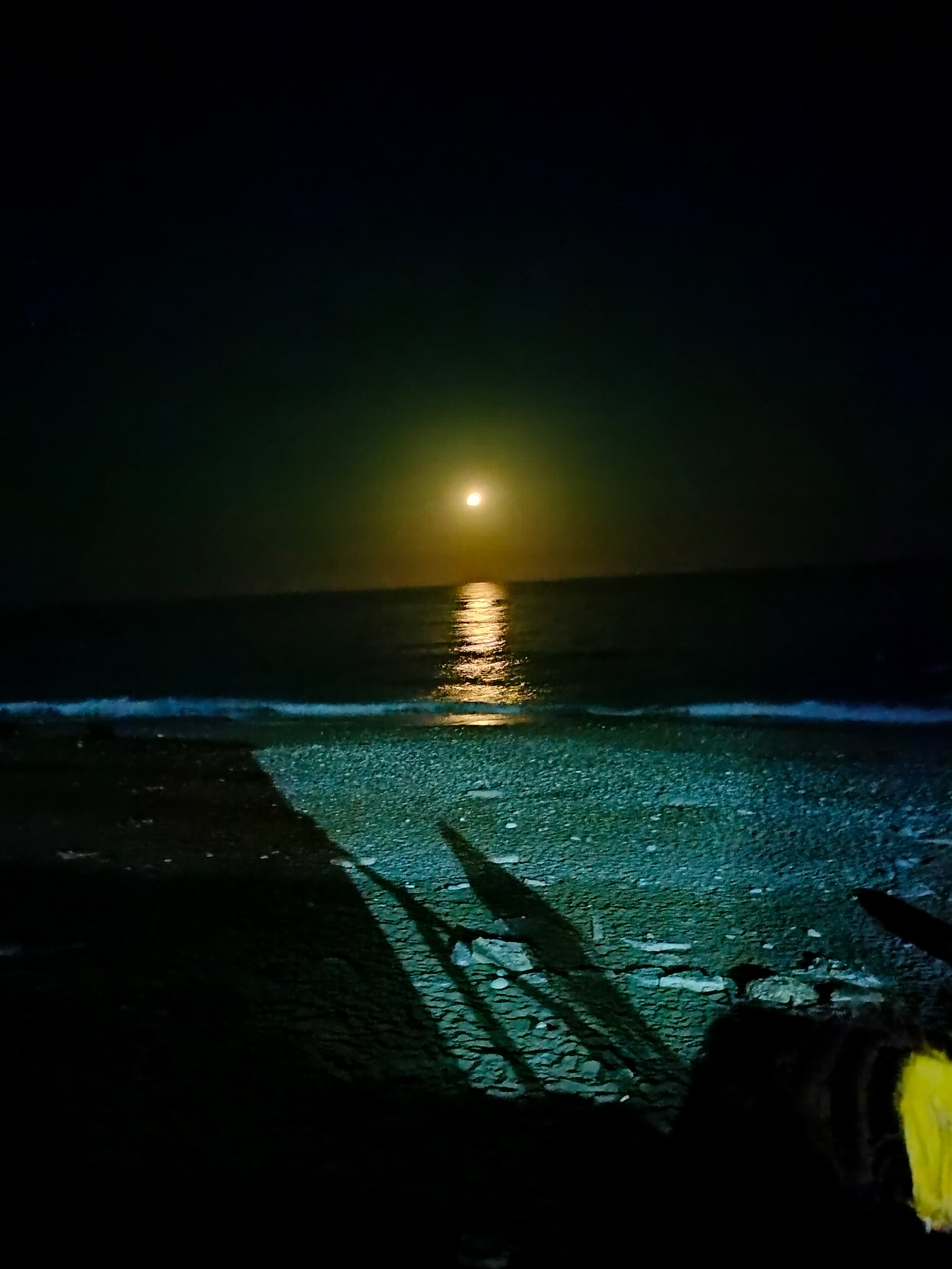 Фото Династия