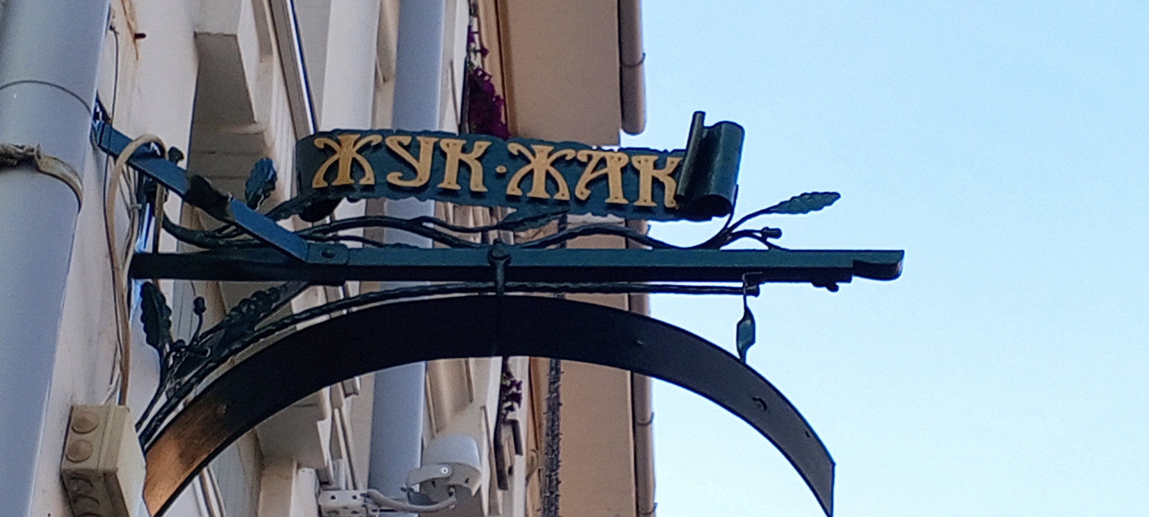 Фото Жук Жак