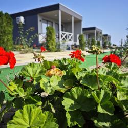 Фото Мамрач