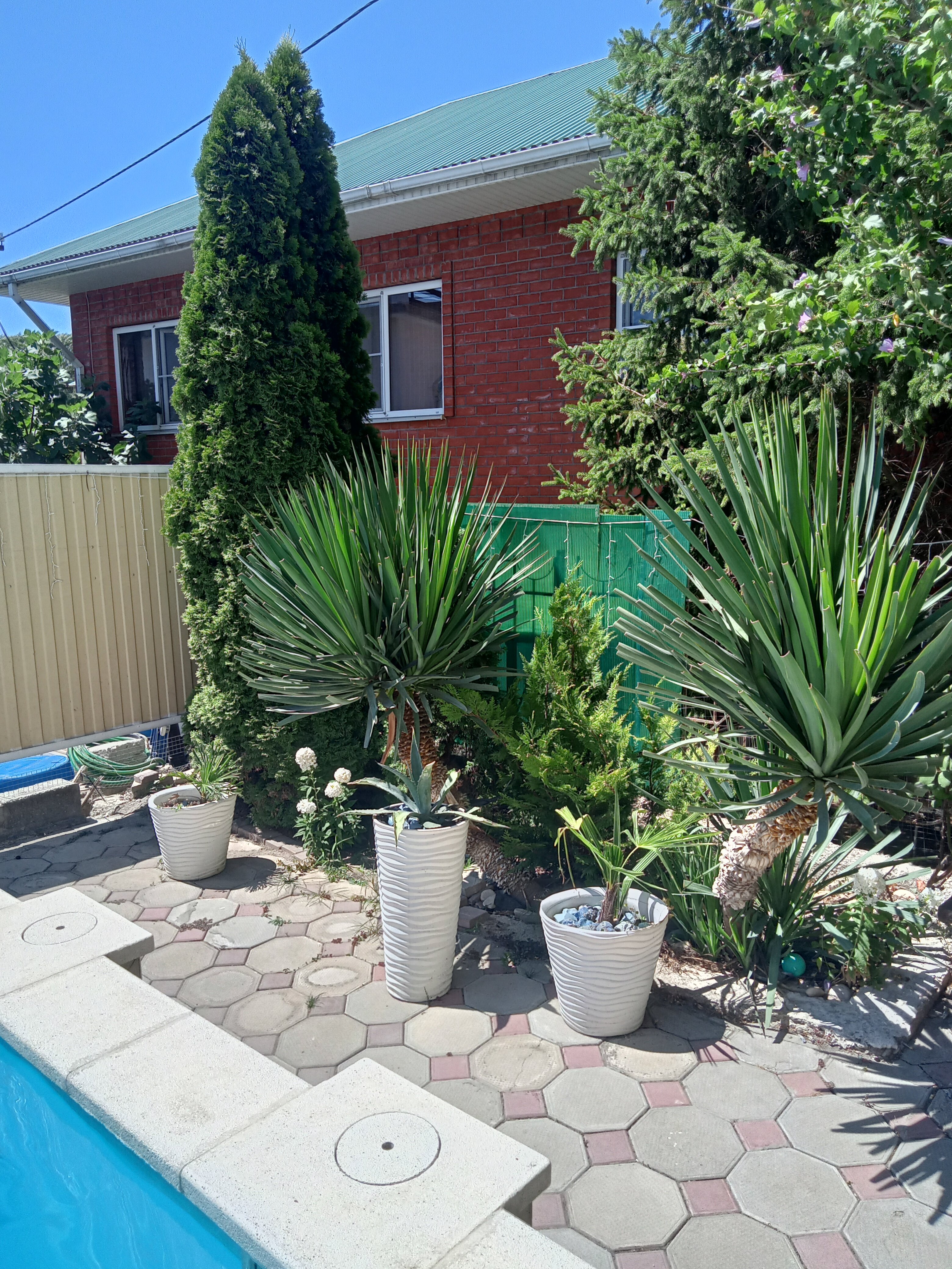 Фото На Северной 11