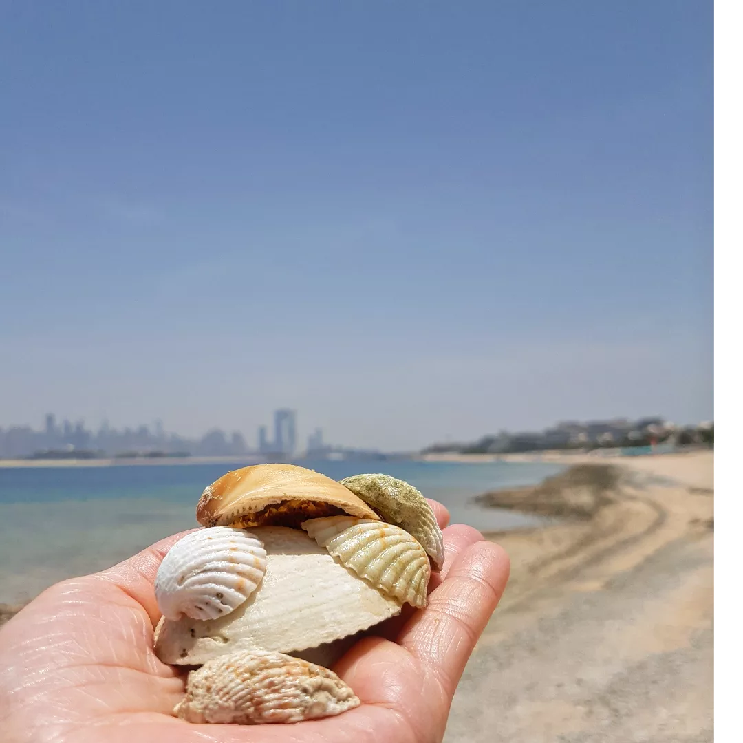 Фото Th8 Palm Dubai Beach Resort by IHG Dubai